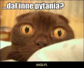 Dogodna lokalizacja