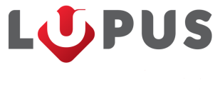 Logo Liceum dla Młodzieży i Dorosłych 