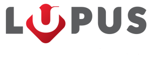 Logo Liceum dla Młodzieży i Dorosłych 