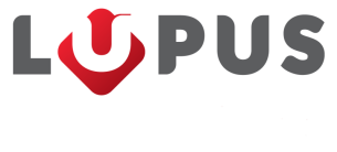 Logo Liceum dla Młodzieży i Dorosłych 